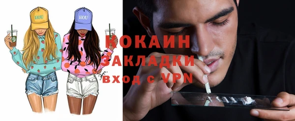 мдпв Пестово