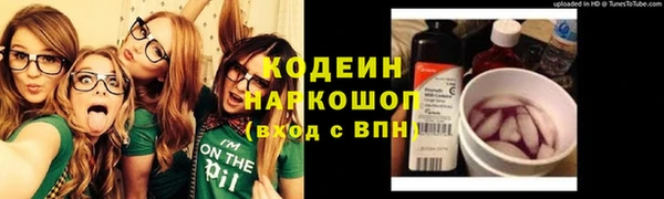 мдпв Пестово