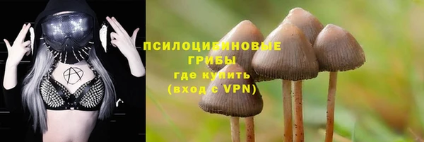 амф Пересвет