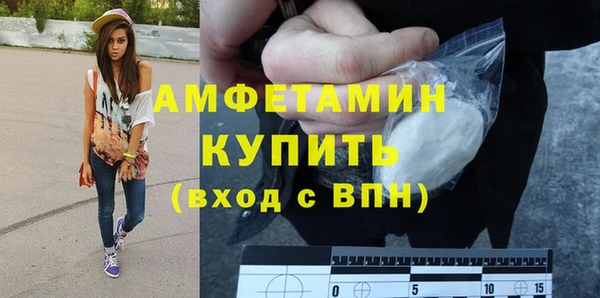 мдпв Пестово