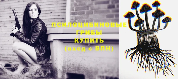 мдпв Пестово
