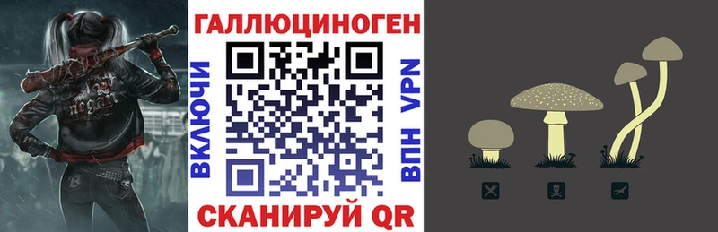darknet наркотические препараты  гидра маркетплейс  Иноземцево  Псилоцибиновые грибы Magic Shrooms 